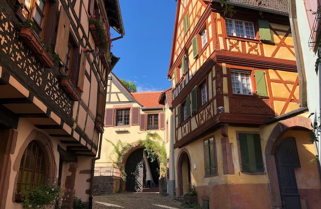 Renovated luxury apartment, in the middle of the Alsace wine route