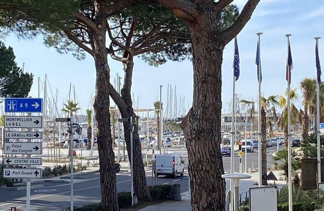 Studio Cabine 4 Couchages , Centre Ville, Cuisine Équipée , Port , Plage , Parking