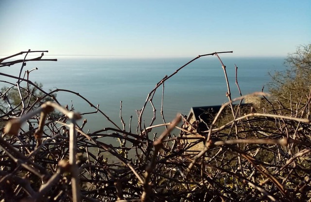La Campagne au Bord de la Mer. Une Chambre Chez L'habitant et ses Animaux