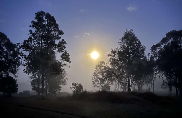 "Explore The Thagoona Block: 12-Acre Brisbane Retreat for Camping & Events!"