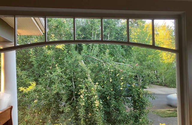 Sellwood retreat has it all