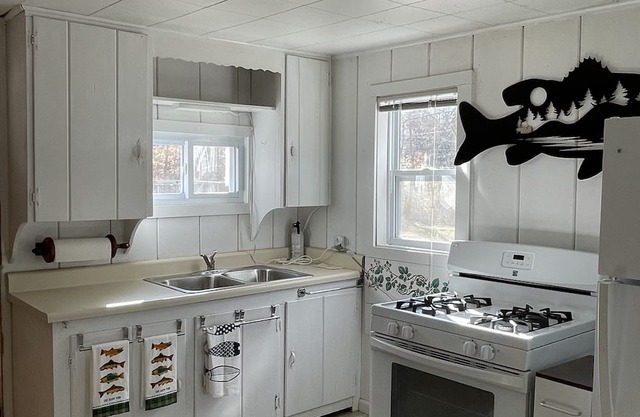Cozy Lakefront Hilltop Cottage. Pet friendly. Queen Bed &2 Queen Futons Sleeps 6