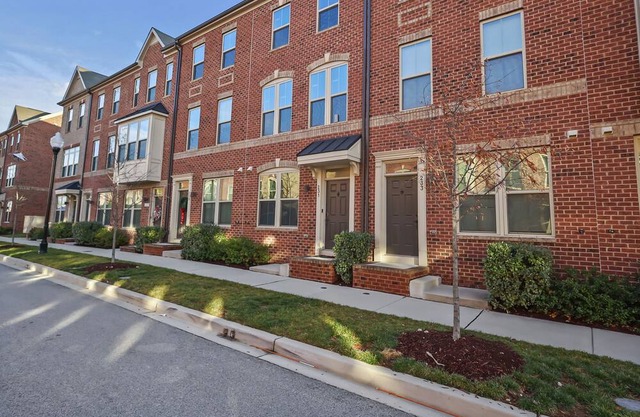 New Build Townhome in heart of Baltimore