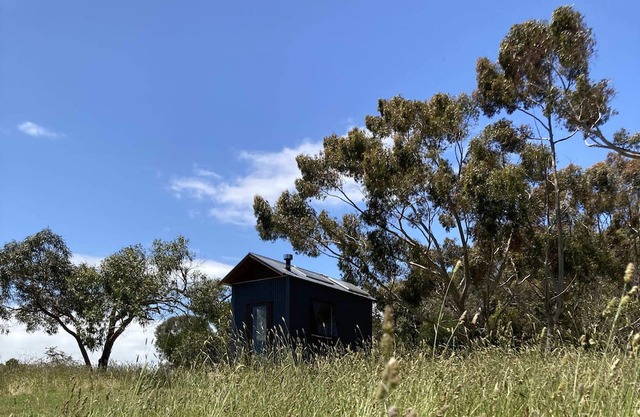 Mount Schank Tiny House