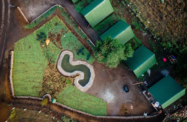 Bosque de Perlillas