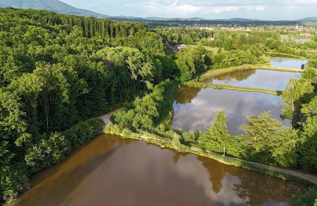 Domaine du morbues cabin