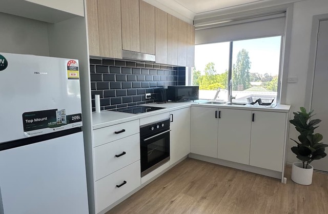 ✨Delight in Oberon✨