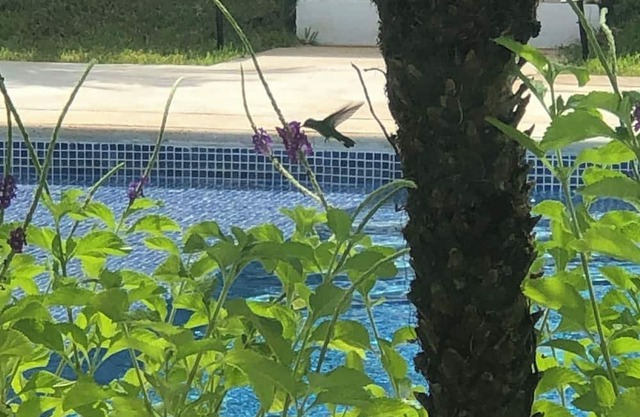 Lovely 2-bedroom house with AC in Playa Avellanas. Pura Vida at its finest.