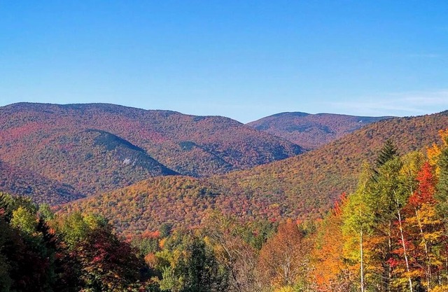 Mountain Log Home w/Amazing View! Foliage Awaiting