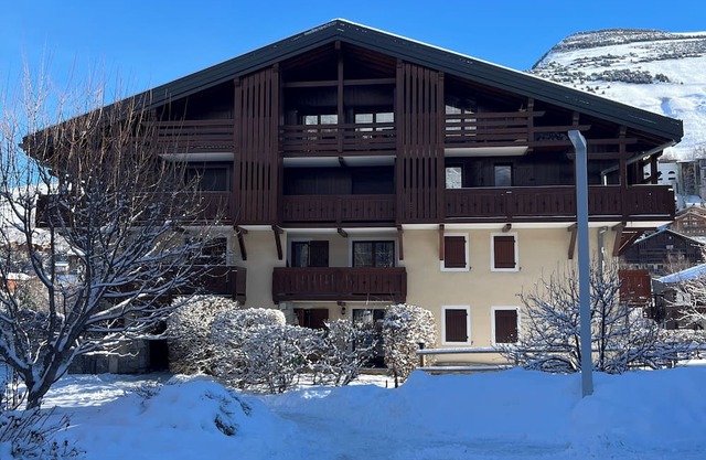 T2 apartment + ski-in/ski-out mountain corner with parking at Les 2 Alpes.