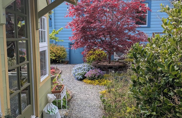 Cozy Seattle Craftsman walking distance to many amenities!
