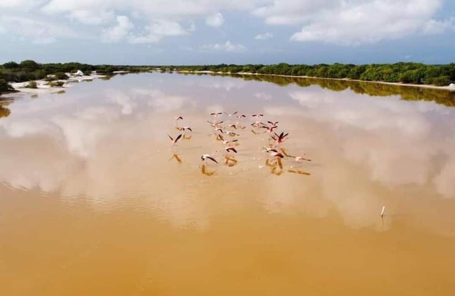 Villa Gabriela #3 Cozy room 3 min from the beach