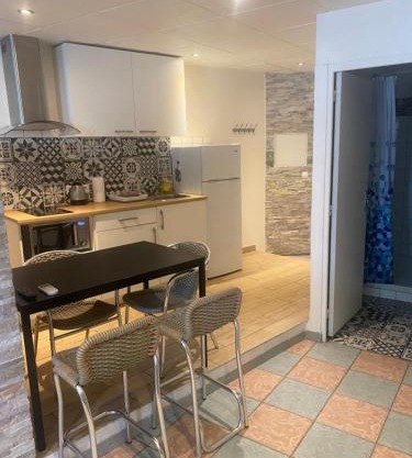 Appartement rénové climatisé