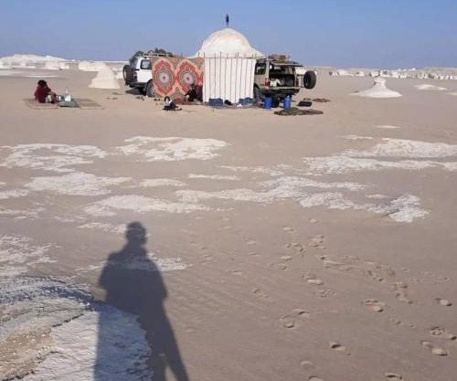 Five oasis desert camp