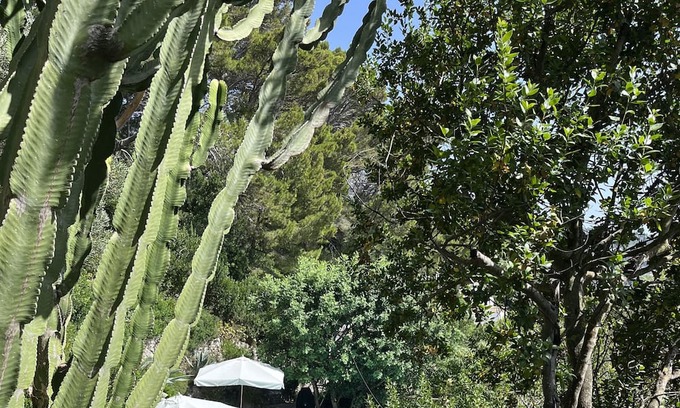 Anacapri Cabaña | Peaceful Capri Garden Studio Villa with superb swimming pool and views