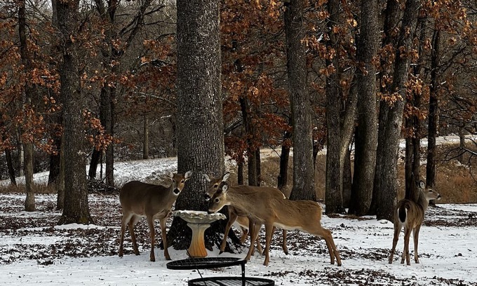 Stillwater Casa | Huge Game-room Style Barndo 1 Bedroom Farmhouse