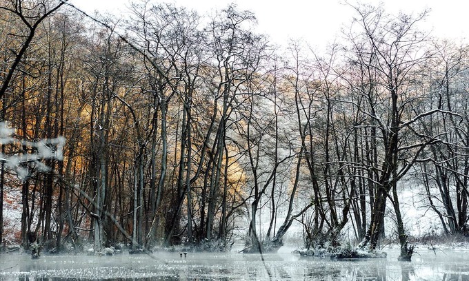 Alme Apartamento | Pure relaxation: Brilon vacation apartment with a forest feel for the whole family!