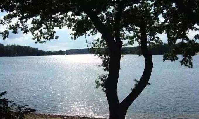 Vosges Alquiler De RV | Domaine les Nids du Lac* - POD 2 Rooms 2 People with private Jacuzzi