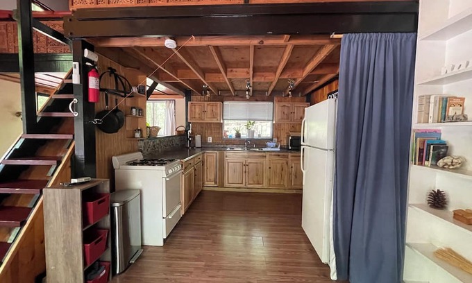 High Springs Cabina | Cozy Family Florida Springs Cabin/ nestled on 10 acres of woods