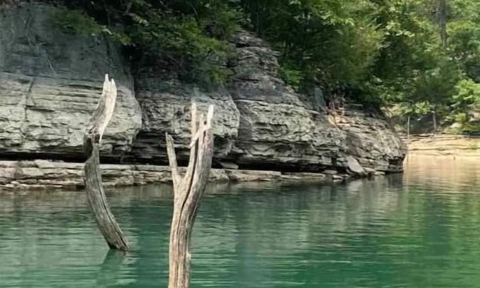 Rogers Casa | Beaver Dome Geodesic Lake Home 3br 2bath