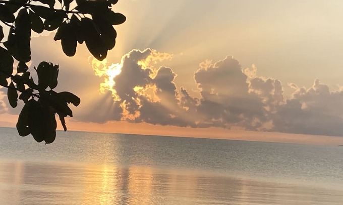 Palma Apartamento | Studio cabin with AC & WiFi located in a Tropical Paradise