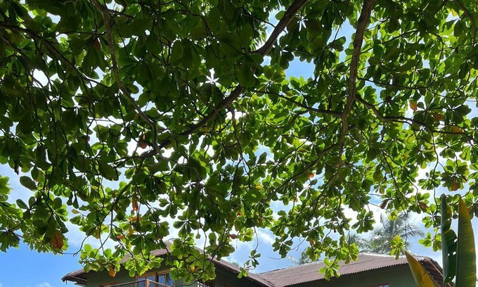 Dibulla Hotel | Hotel Gavia Sierra Nevada