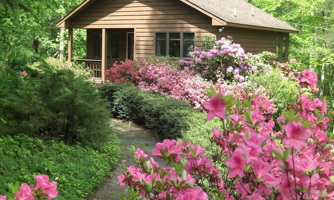 Dyke Cabina | Creek House