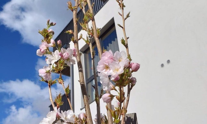 Prutz Apartamento | Wohnung Leona mit Südseitigem Balkon - Aenna Apart