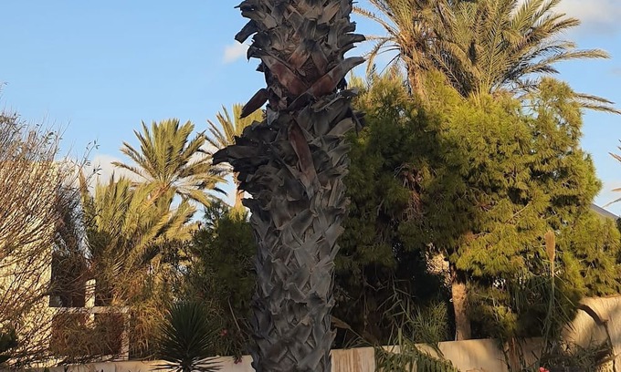 Aghir Casa | Dar El Bahr