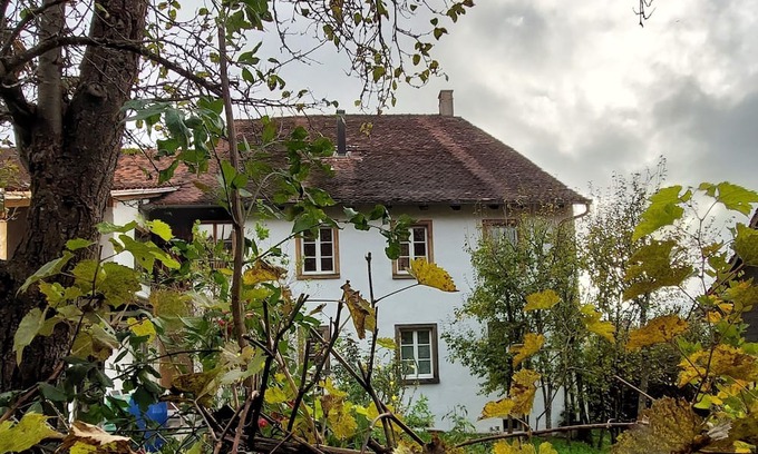 Liesberg Apartamento | Flat "Giselas Ruheplatz"