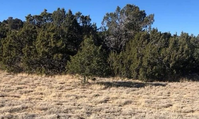 Walsenburg Alquiler De RV | This property is no longer available for use.