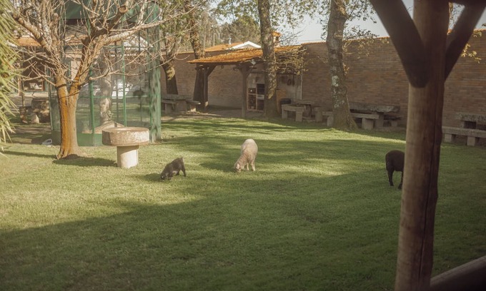 Mozelos Cabaña | Quinta Verde Esperança - Casa do Sobreiro