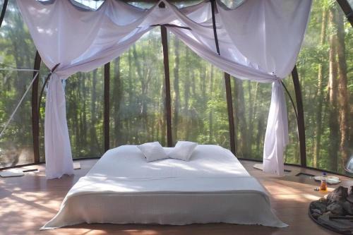 Tapirai Otro | Cúpula suspensa na mata atlântica!